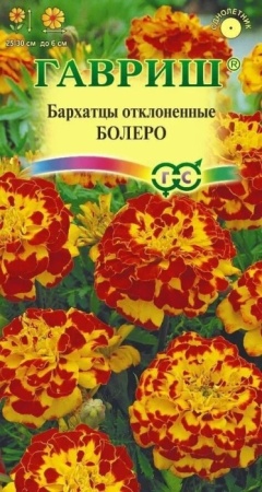 orig - 2026-02-05T165145.502