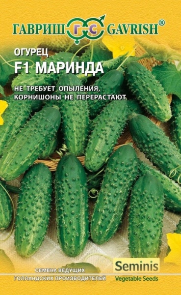 6041516685
