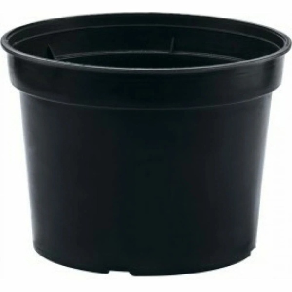 orig - 2026-01-26T164212.760