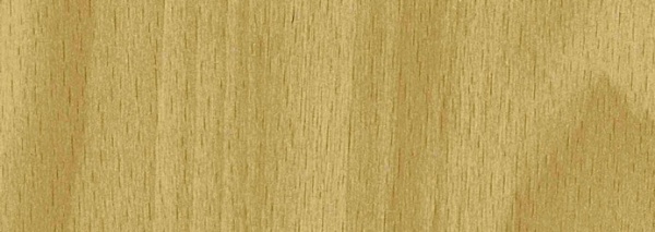 a05c17801ca142ad0f0a753b509720da